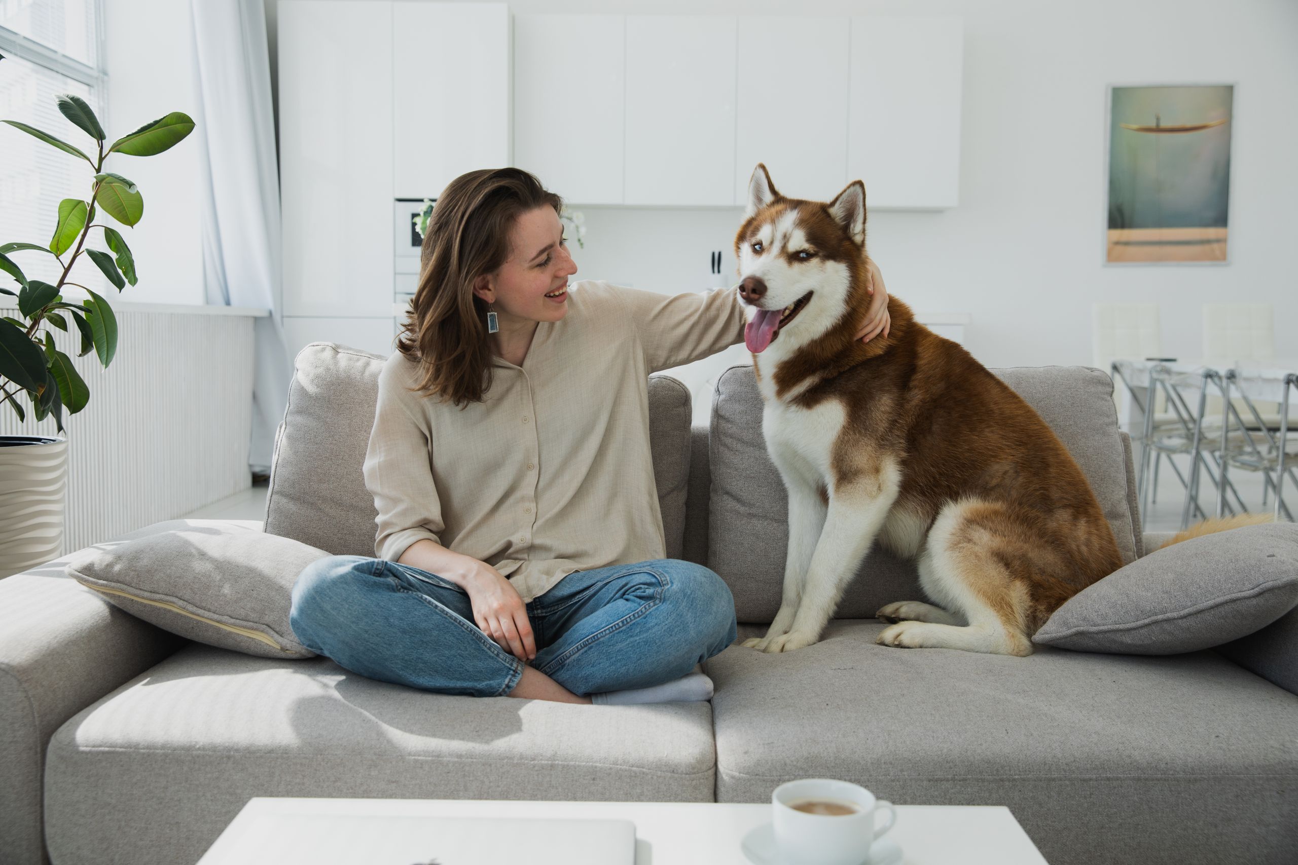 Happy woman sitting on couch with Siberian Husky, enjoying quality time together indoors.